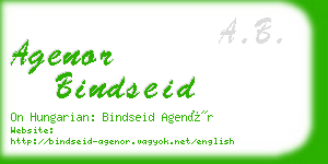 agenor bindseid business card